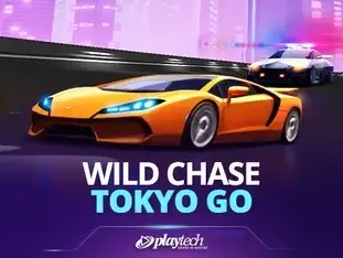 Wild Chase Tokyo Go